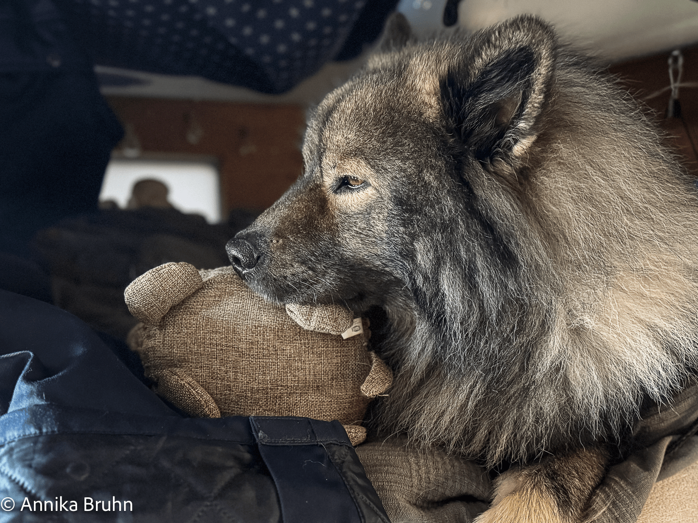 Kopf ist so schwer da muss Schilde stützen